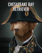 Snowbird Solitaire Chesapeake Bay Retriever Dogs in Disguise Badge