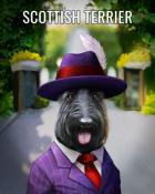 Quinn's Aquarium Scottish Terrier Dogs in Disguise Badge