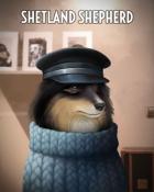 First Class Solitaire HD Shetland Sheepdog Dogs in Disguise Badge