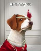 Tri-Peaks Solitaire HD Brittany Dogs in Disguise Badge