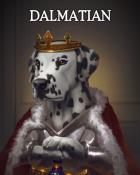 Poppit! Bingo Dalmatian Dogs in Disguise Badge
