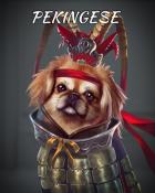 Tri-Peaks Solitaire HD Pekingese Dogs in Disguise Badge