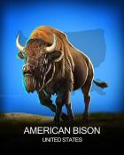 Pogo Addiction Solitaire HD American Bison National Animals Badge