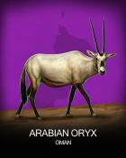 Spades HD Arabian Oryx National Animals Badge