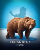 Jigsaw Treasure Hunter HD Brown Bear National Animals Badge