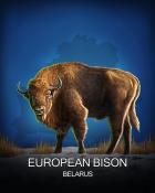 World Class Solitaire HD European Bison National Animals Badge