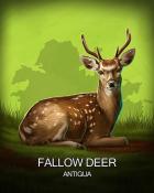 Jet Set Solitaire Fallow Deer National Animals Badge