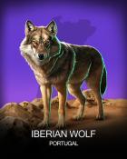 MONOPOLY Sudoku Iberian Wolf National Animals Badge