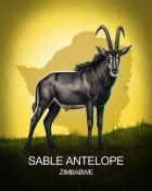 Mahjong Sanctuary Sable Antelope National Animals Badge