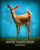 Jungle Gin HD White Tailed Deer National Animals Badge