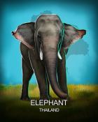 Mahjong Safari HD Elephant National Animals Badge