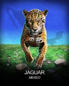 Jet Set Solitaire Jaguar National Animals Badge