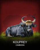 Mahjong Safari HD Kouprey National Animals Badge