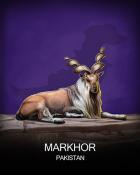 Aces Up! HD Markhor National Animals Badge