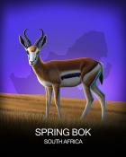 Spades HD Springbok National Animals Badge