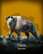 Aces Up! HD Takin National Animals Badge