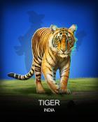 Sweet Tooth Town Tiger National Animals Badge