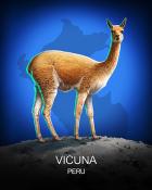 Dice City Roller HD Vicuna National Animals Badge