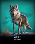 Word Whomp HD Wolf National Animals Badge