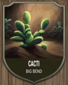 Tri-Peaks Solitaire HD Big Bend Cacti National Parks Badge