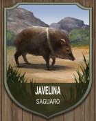 Quinn's Aquarium Saguaro Javelina National Parks Badge