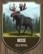 Word Whomp HD Isle Royale Moose National Parks Badge
