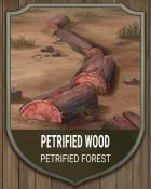 Solitaire Home Story Petrified Forest Wood National Parks Badge