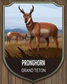 Jungle Gin HD Grand Teton Pronghorn National Parks Badge