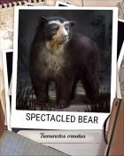 Quinn's Aquarium Spectacled Bear Nocturnal Animal Badge