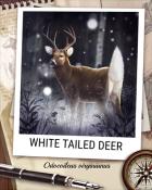 Quinn's Aquarium White Tailed Deer Nocturnal Animal Badge