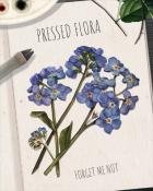 Poppit! Bingo Forget Me Not Pressed Flora Badge