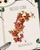 Spades HD Oncidium Orchid Pressed Flora Badge