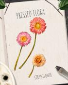 Pogo Slots Strawflower Pressed Flora Badge