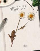 Tri-Peaks Solitaire HD Daisy Pressed Flora Badge