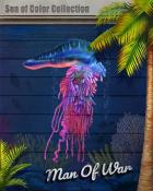 Man of War Sea of Color Badge - StoryQuest