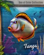 Tangs Sea of Color Badge - World Class Solitaire HD