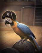 Mahjong Garden HD Parrot Ships Ahoy Badge