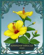First Class Solitaire HD Hawaii State Flowers Badge