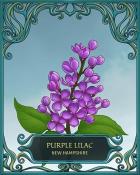 Canasta HD New Hampshire State Flowers Badge