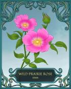 MONOPOLY Sudoku Iowa State Flowers Badge