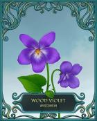 Jet Set Solitaire Wisconsin State Flowers Badge