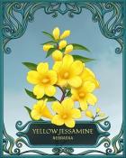 World Class Solitaire HD South Carolina State Flowers Badge