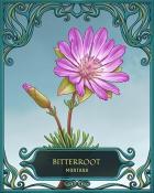 Aces Up! HD Montana State Flowers Badge