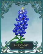 Word Whomp HD Texas State Flowers Badge