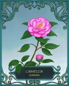 Canasta HD Alabama State Flowers Badge