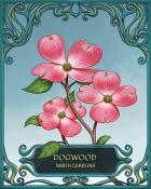 Lucky Cat Bingo North Carolina State Flowers Badge