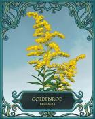 Mahjong Safari HD Nebraska State Flowers Badge