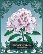 MONOPOLY Sudoku West Virginia State Flowers Badge