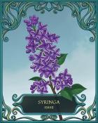 Tri-Peaks Solitaire HD Idaho State Flowers Badge