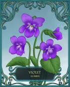 Canasta HD Illinois State Flowers Badge